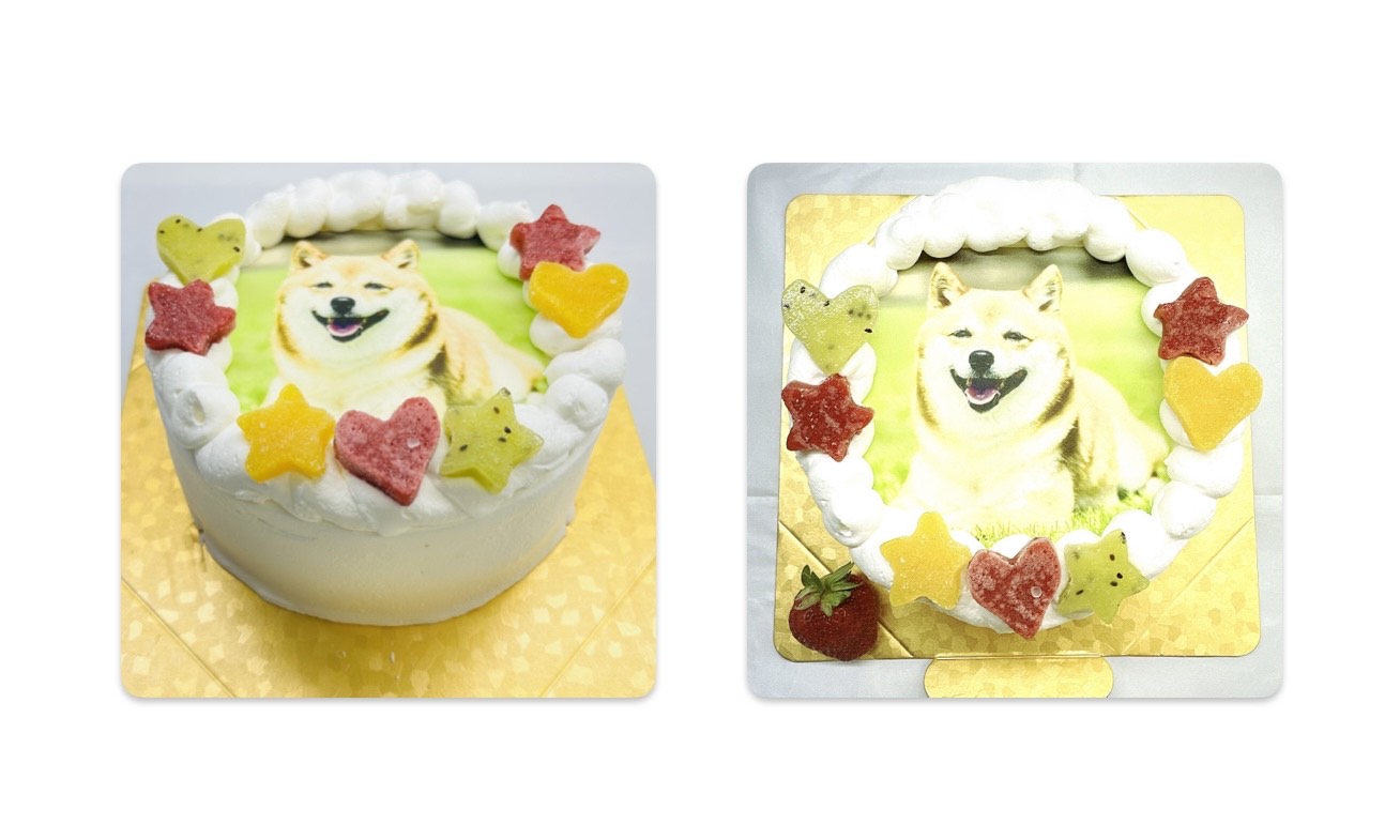 写真の送り方