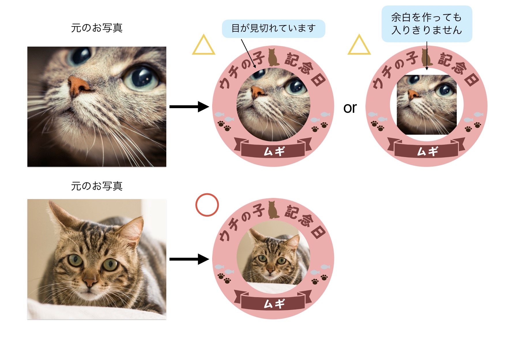 写真の送り方