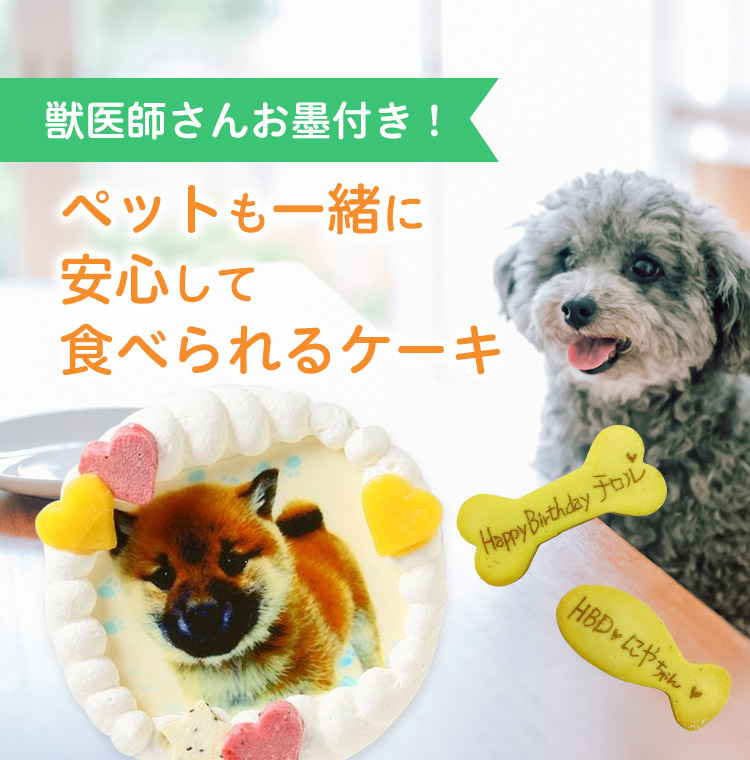 菓の香のペットケーキ