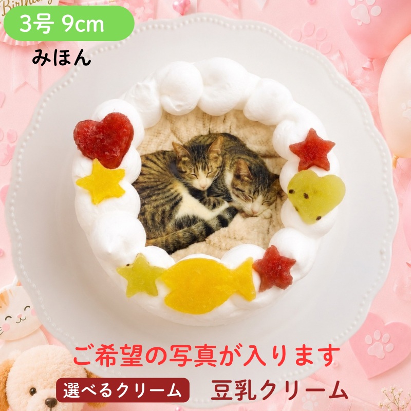 ペットケーキ にゃんこ写真ケーキ【3号 9cm】 